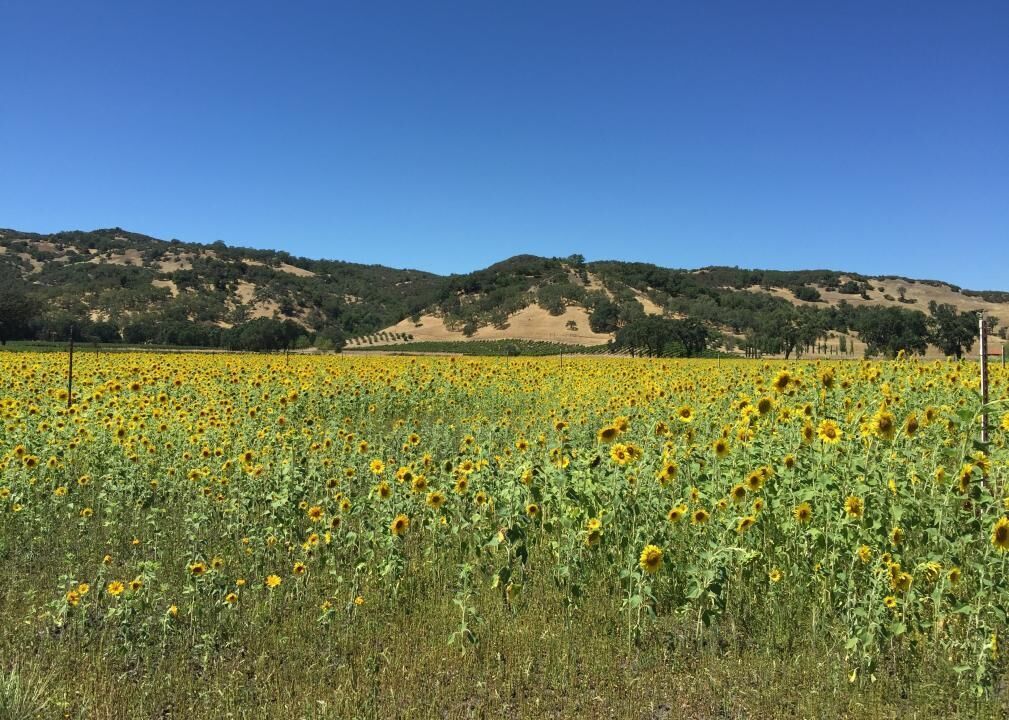#22. Ukiah, California (tie)